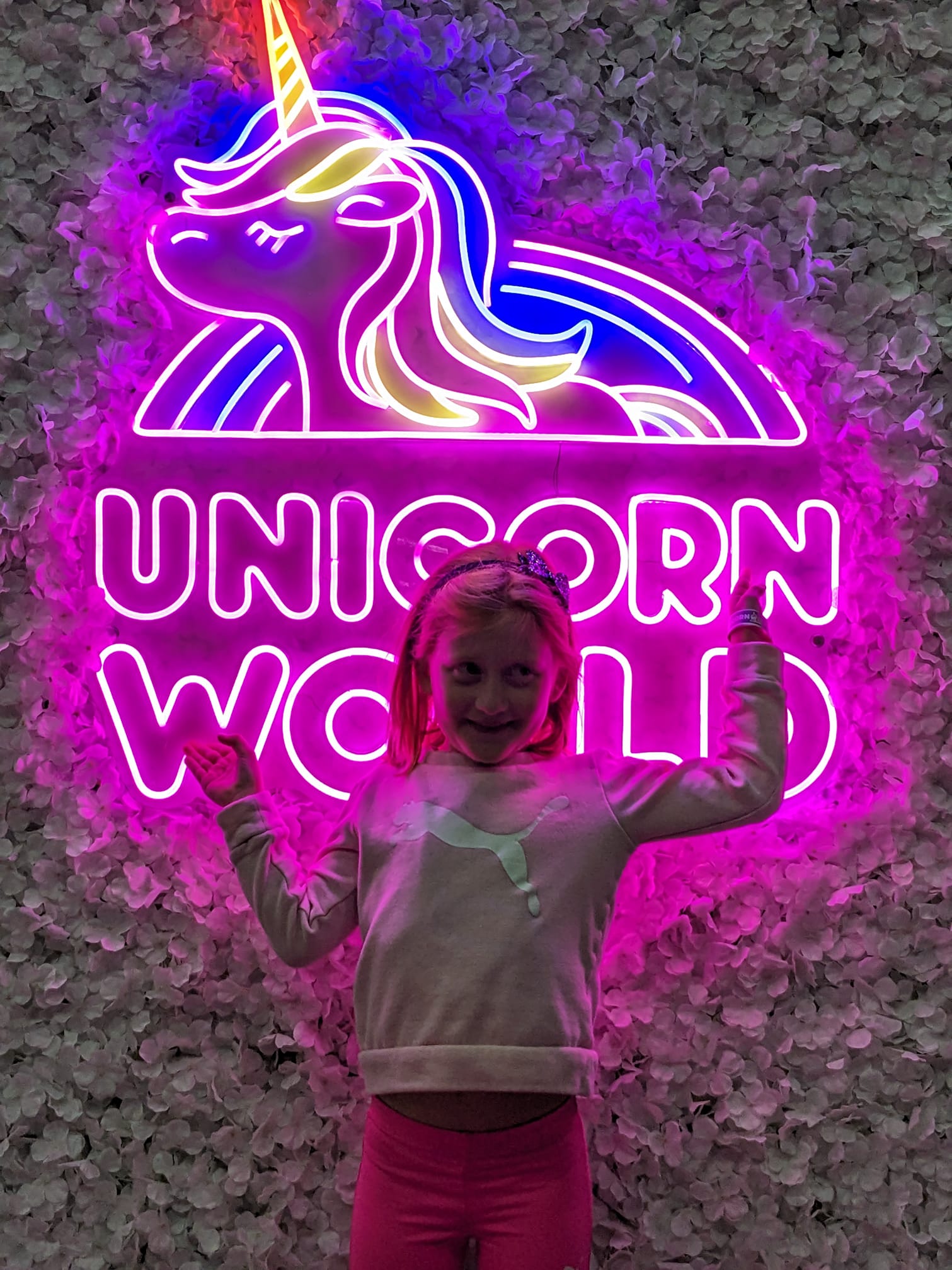 Unleashing the Magic at Unicorn World Casey Cares Foundation